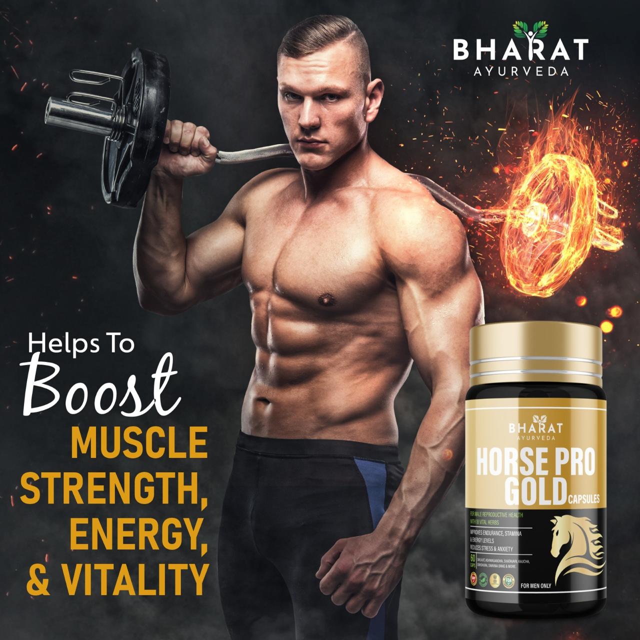 Horse Pro Gold Capsules  with Oil