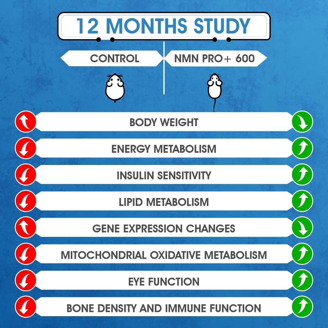 NMN PRO+ 600